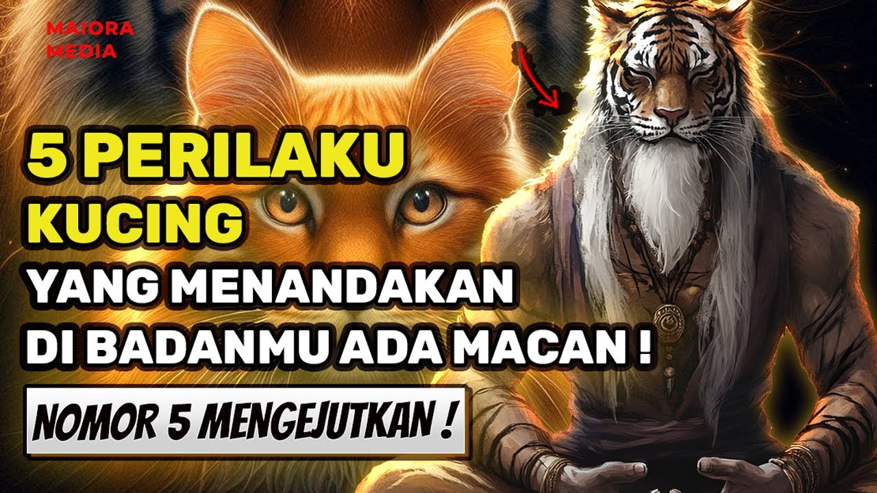 MENGEJUTKAN❗ 5 Perilaku Kucing Terhadapmu Yang Menandakan Di Badanmu Ada Khodam Macan!🔥🔥