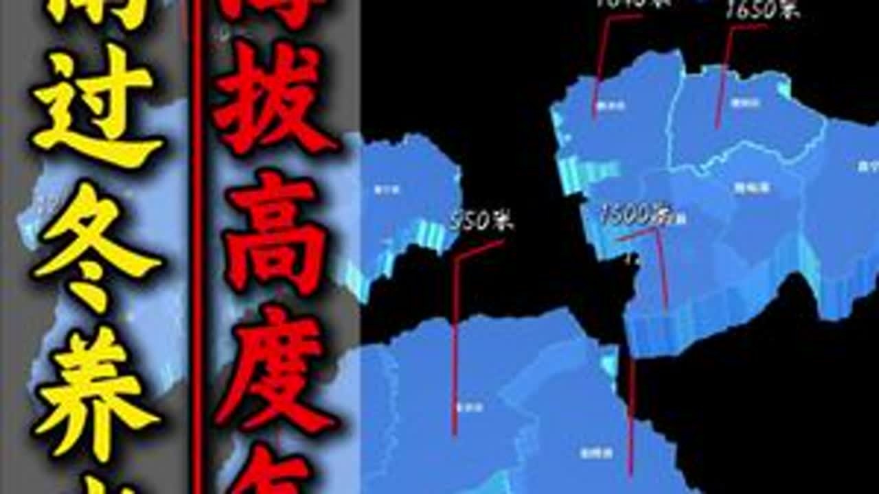 #云南海拔 #云南过冬 #旅居芒市 #暖冬德宏 #波波侃房 @抖音媒体内容优推官 @抖音创作小助手 @DOU+上热门