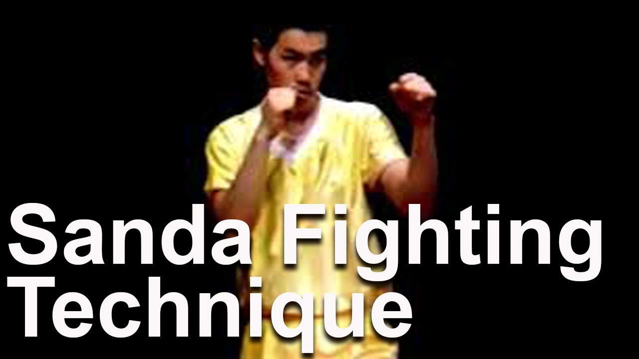 Sanda Fighting Technique