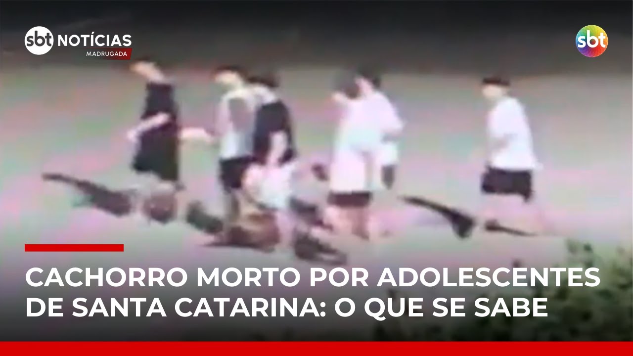 Cão Orelha: tortura de animal, coação de testemunhas e juíza suspeita | #SBTNotícias