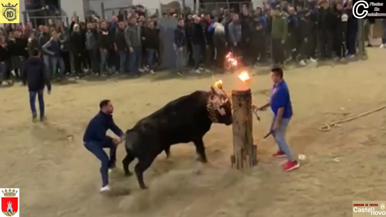 2025  06  2º DESENCAJONAO EMBOLAO  PEÑA MIL DUROS San Anton Castellnovo 11 01 2025