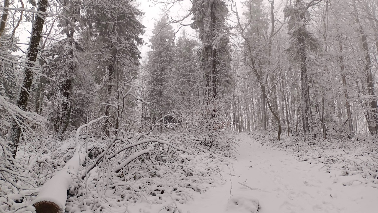 Beskid Niski Cergowa z Nowej Wsi