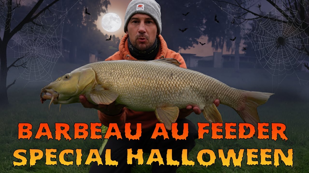 Pêche du barbeau au feeder: spécial halloween !