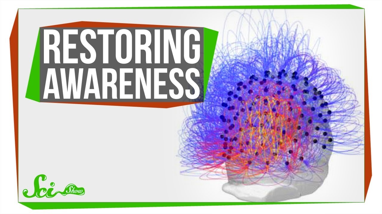 A New Way to Bring People Back from a 'Vegetative State'