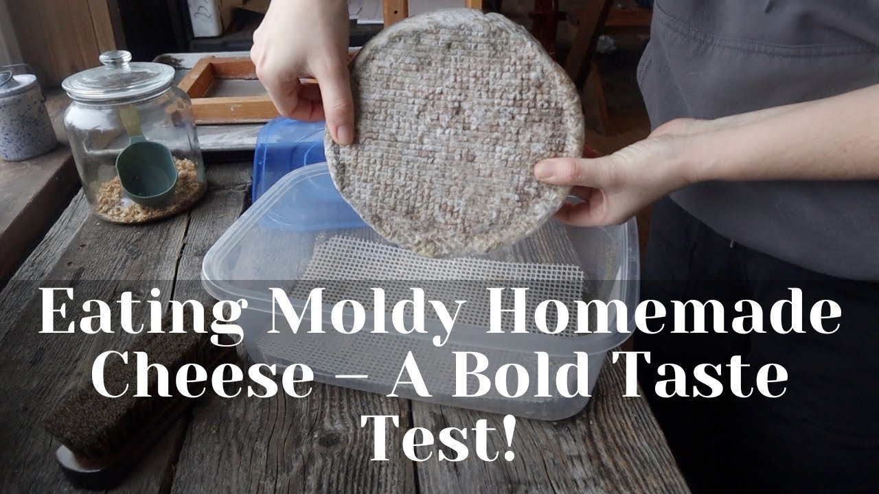 How Different Aging Methods Affect Homemade Cheese – Taste Test!