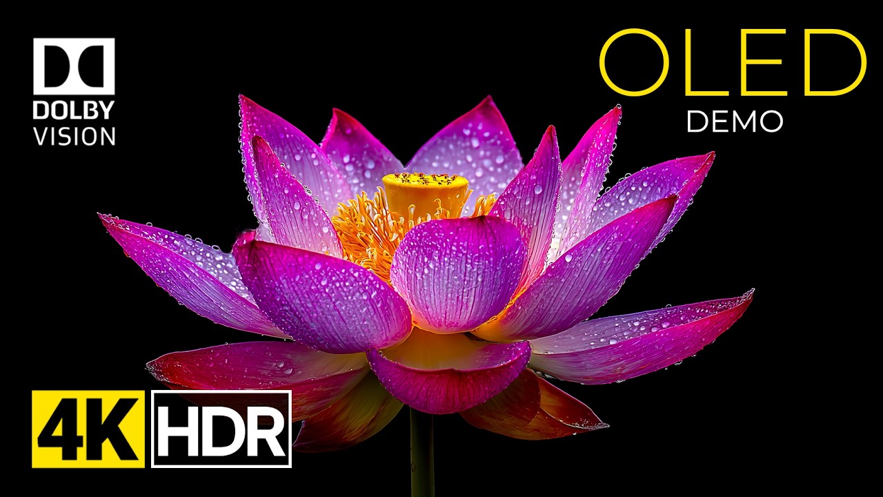 OLED Demo – Deep Black And Craziest Colors 4K HDR Dolby Vision