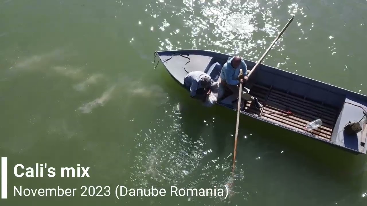 Dj Cali's Mix - November #2023 (Danube session) - Music Cast #6