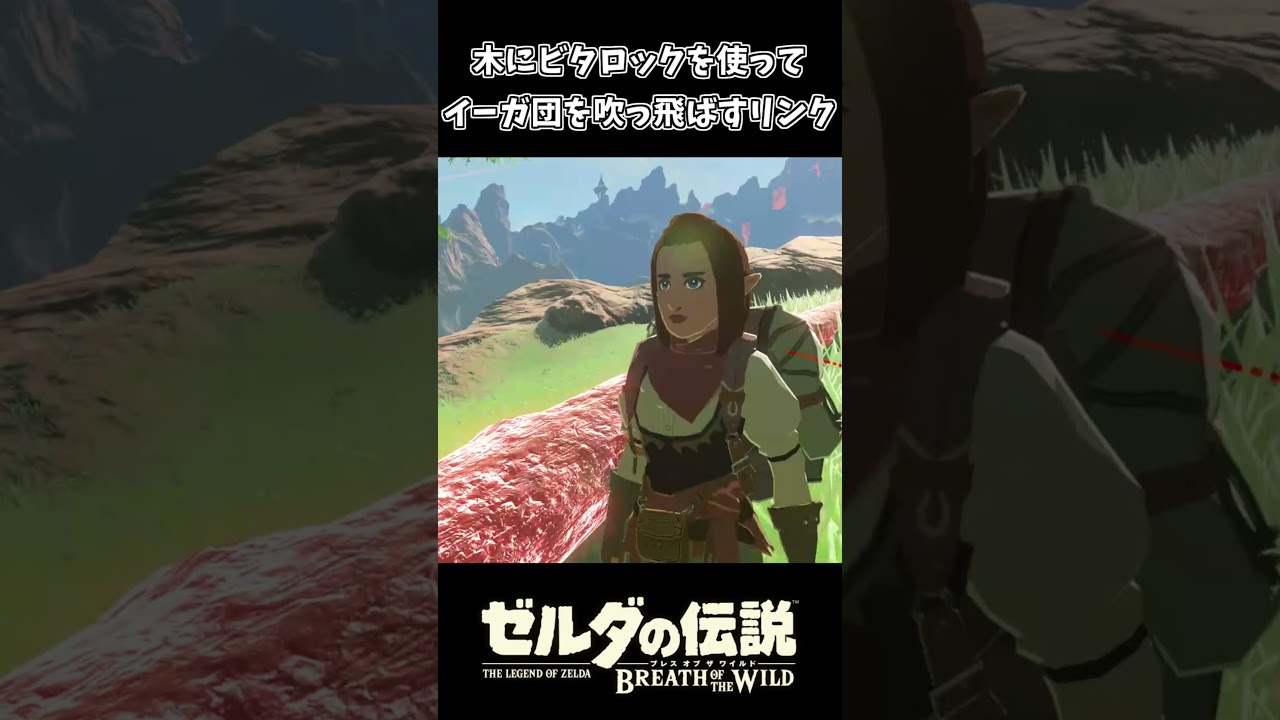 木にビタロックを使ってイーガ団を吹っ飛ばすリンク【ゼルダの伝説 ブレス オブ ザ ワイルド】