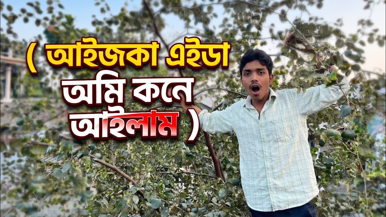 Finally অঙ্গো গাসের বড়ই পাকলো 😲 || Ajimul’s vlog #ytvlogs #trendingvlogs #dailyvlog #viralvlogs 
