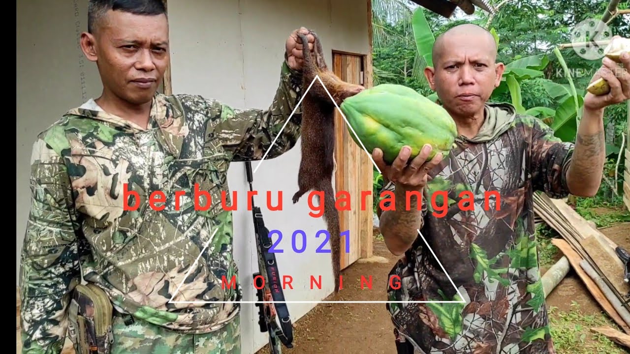 BERBURU GARANGAN dan puyuh bersama sobat bediler
