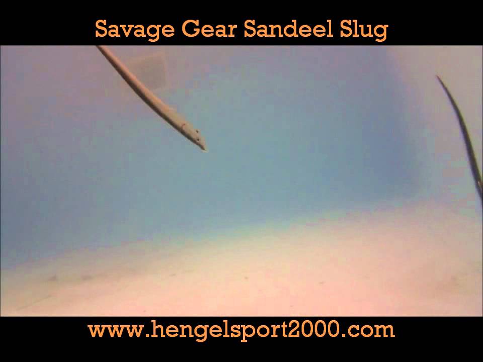 Savage Gear Sandeel Slug Hengelsport 2000