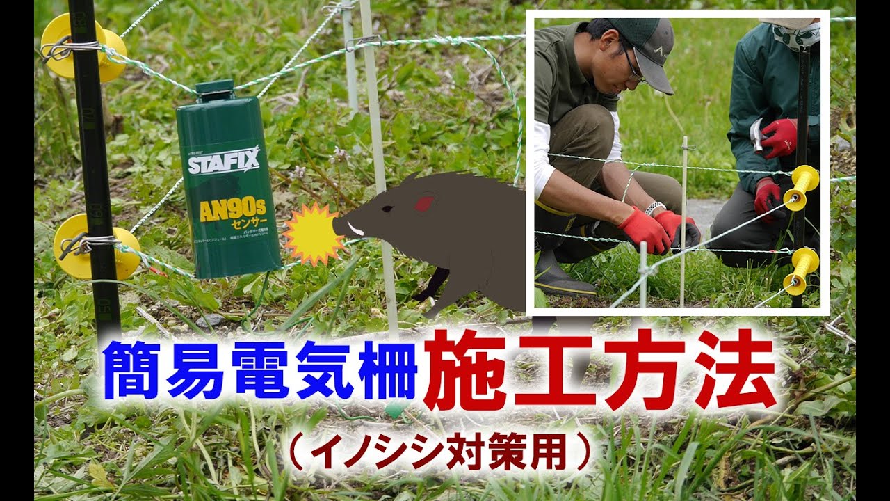 【電気柵 施工】簡易電気柵セット イノシシ対策用