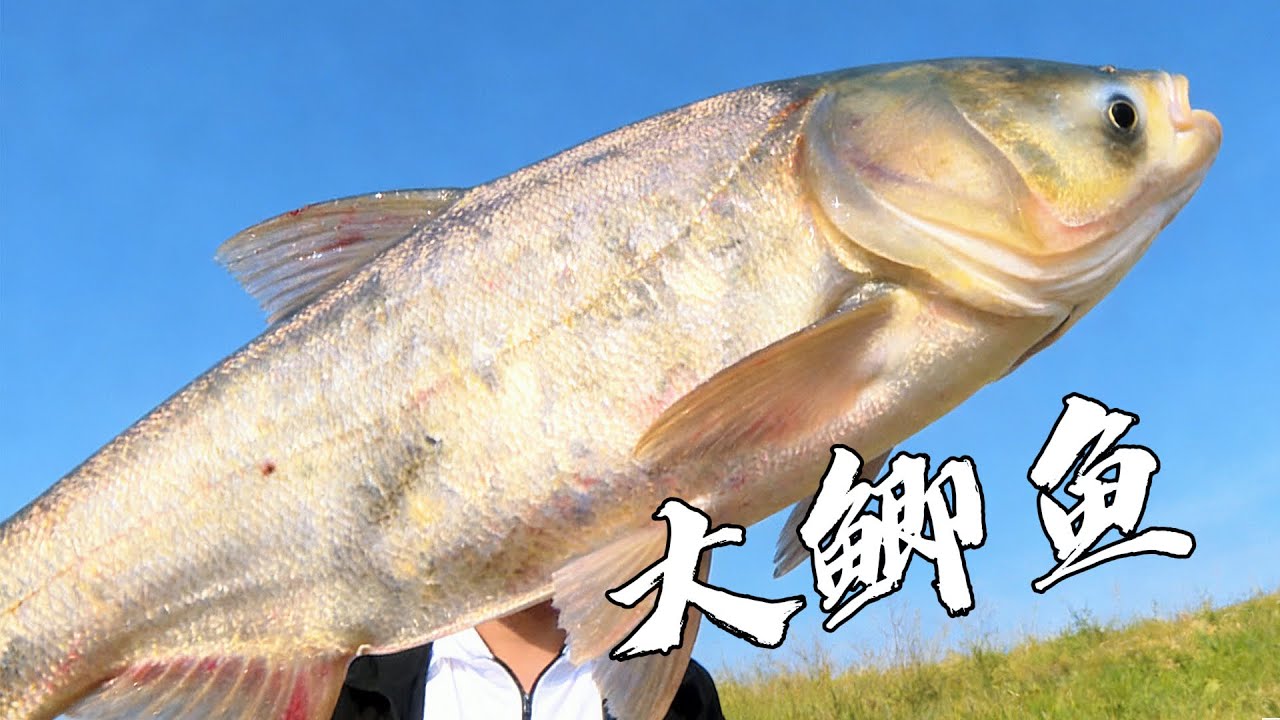 【湖库突击队】湖北絕佳筏釣點！牛河支流巨物出沒，-2℃低溫實力出圈！| 海釣江湖