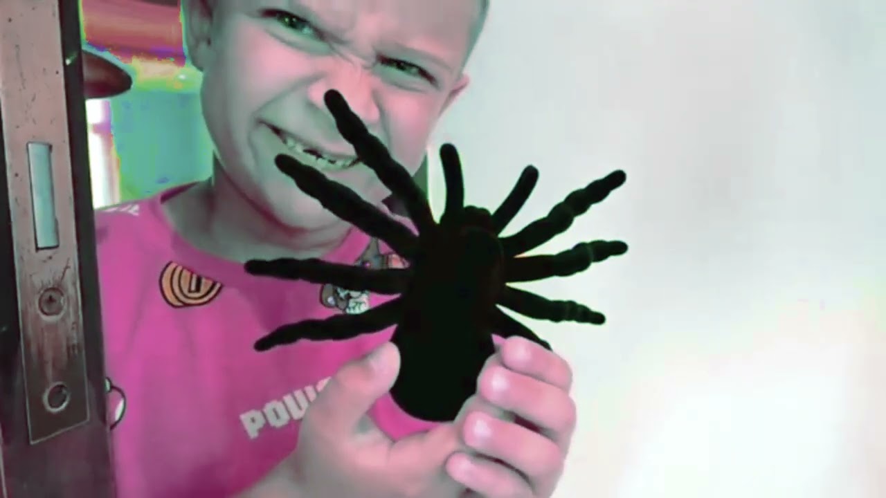 Roma scared Diana with a spider/ClipsEffects// Sponsored by Gammavision csupo effects 