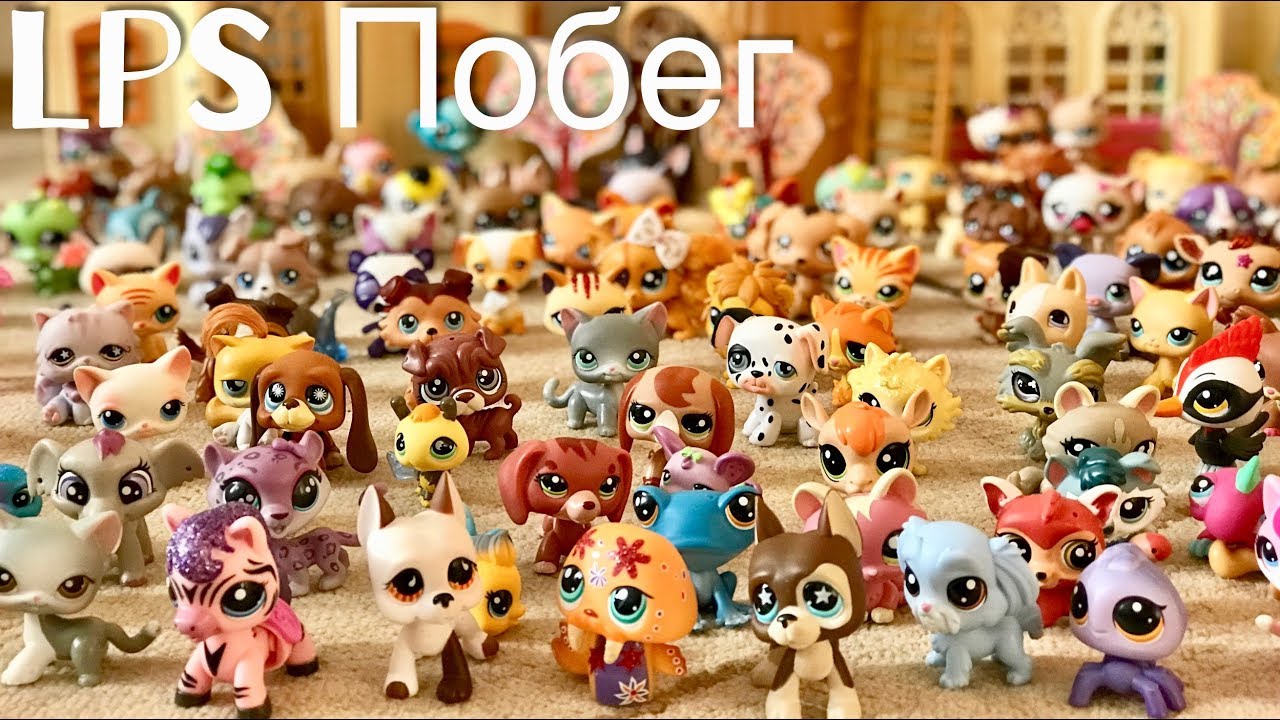 LPS / ПОБЕГ или Вся Моя Коллекция lps / Littlest pet shop