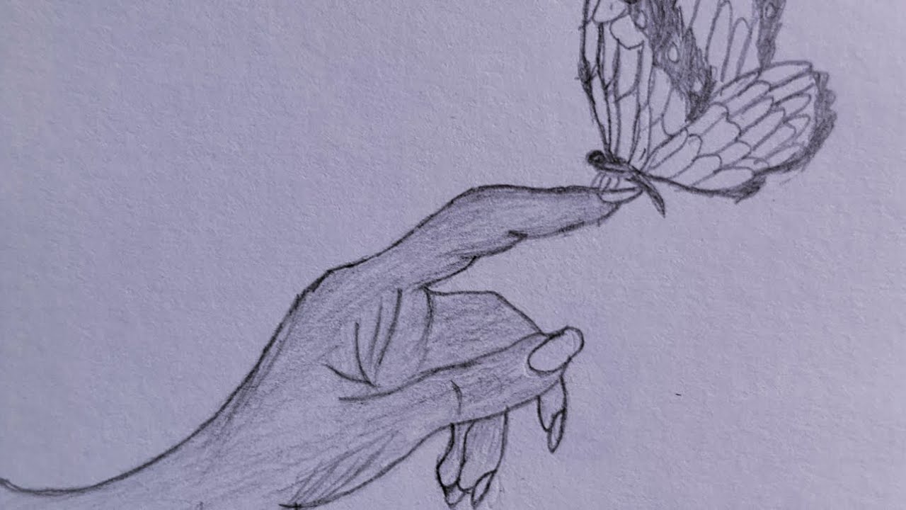 Beautiful Hand and Butterfly  🦋||easydraw ||drawingtutorial ||easyartlover 