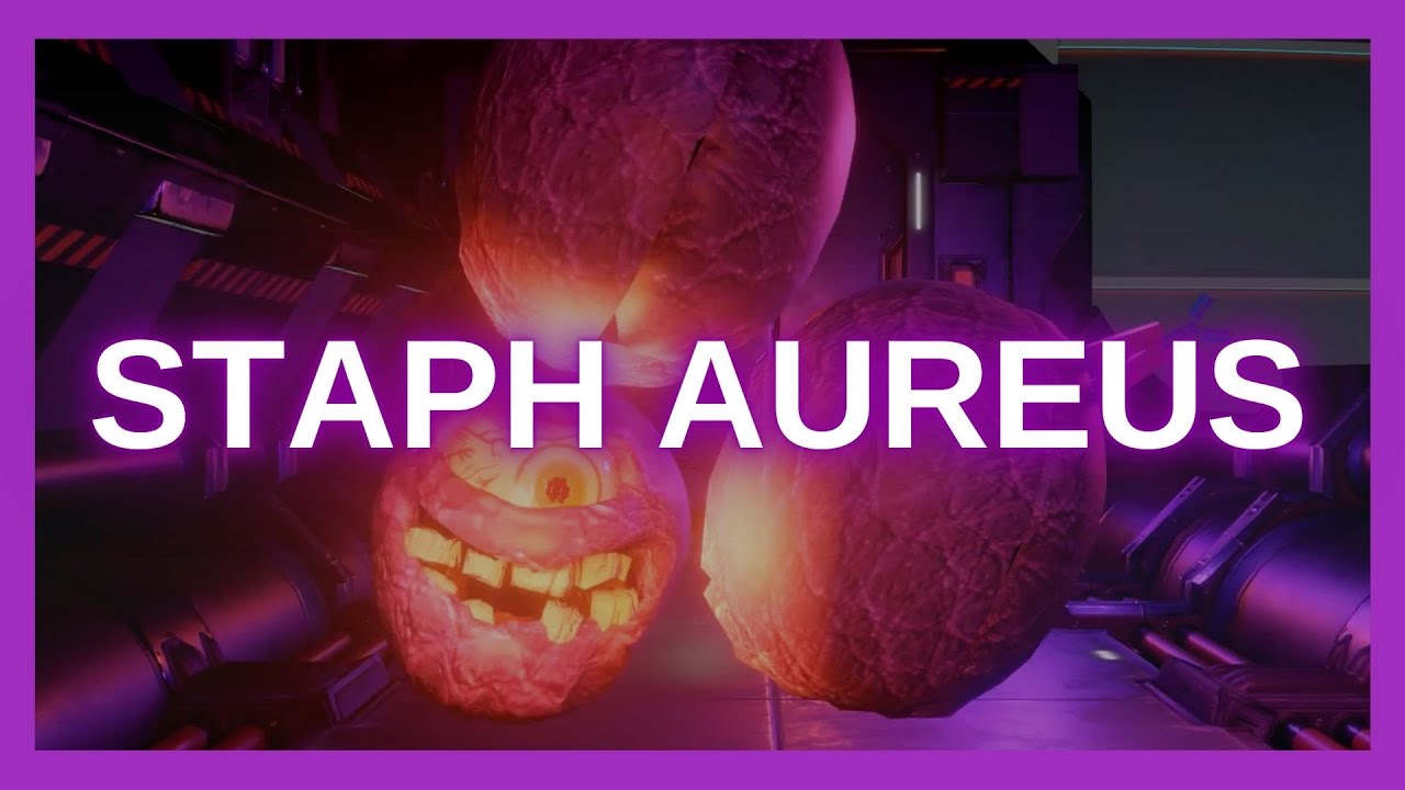Staphylococcus Aureus (Mnemonic for the USMLE)