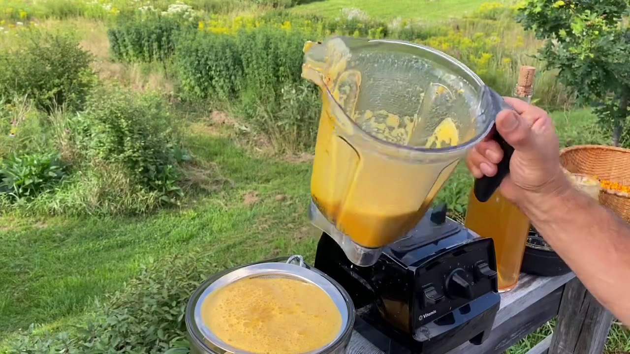 Seaberry Oxymel - Making Seabuckthorn Medicine