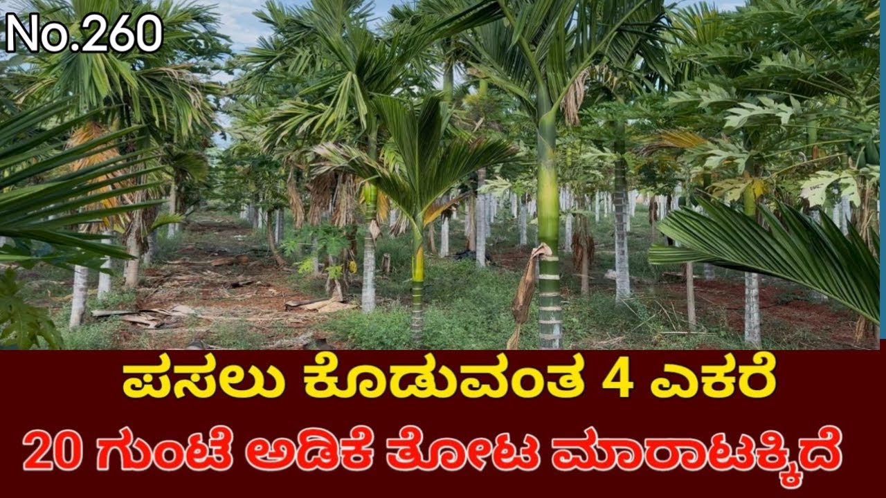 General Property Agriculture Land For Sale Near Village Challakere Challakere Taluk Chitradurga