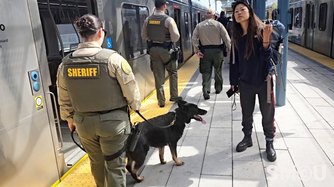 Sheriff's Deputies and K9 Units Sweep Santa Monica Metro for Safety and Security