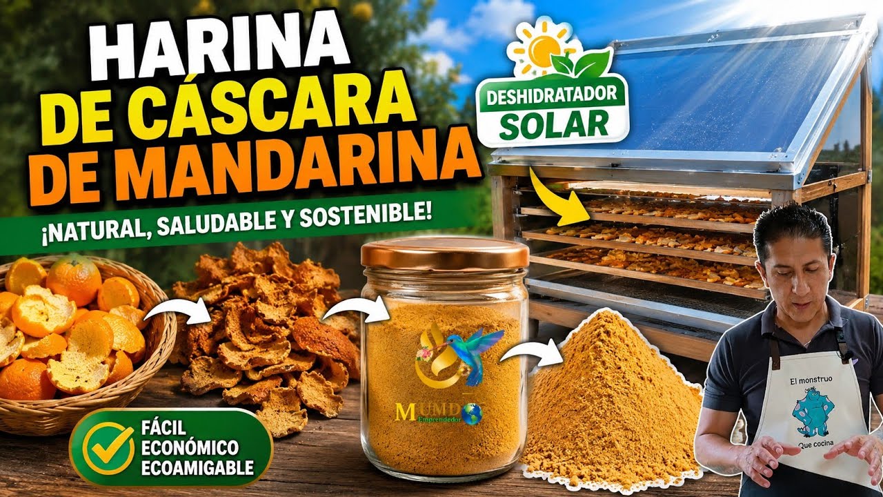 Harina de MANDARINA 🍊 un saborizante natural para tus galletas, panes y reposter&iacute;a 😋