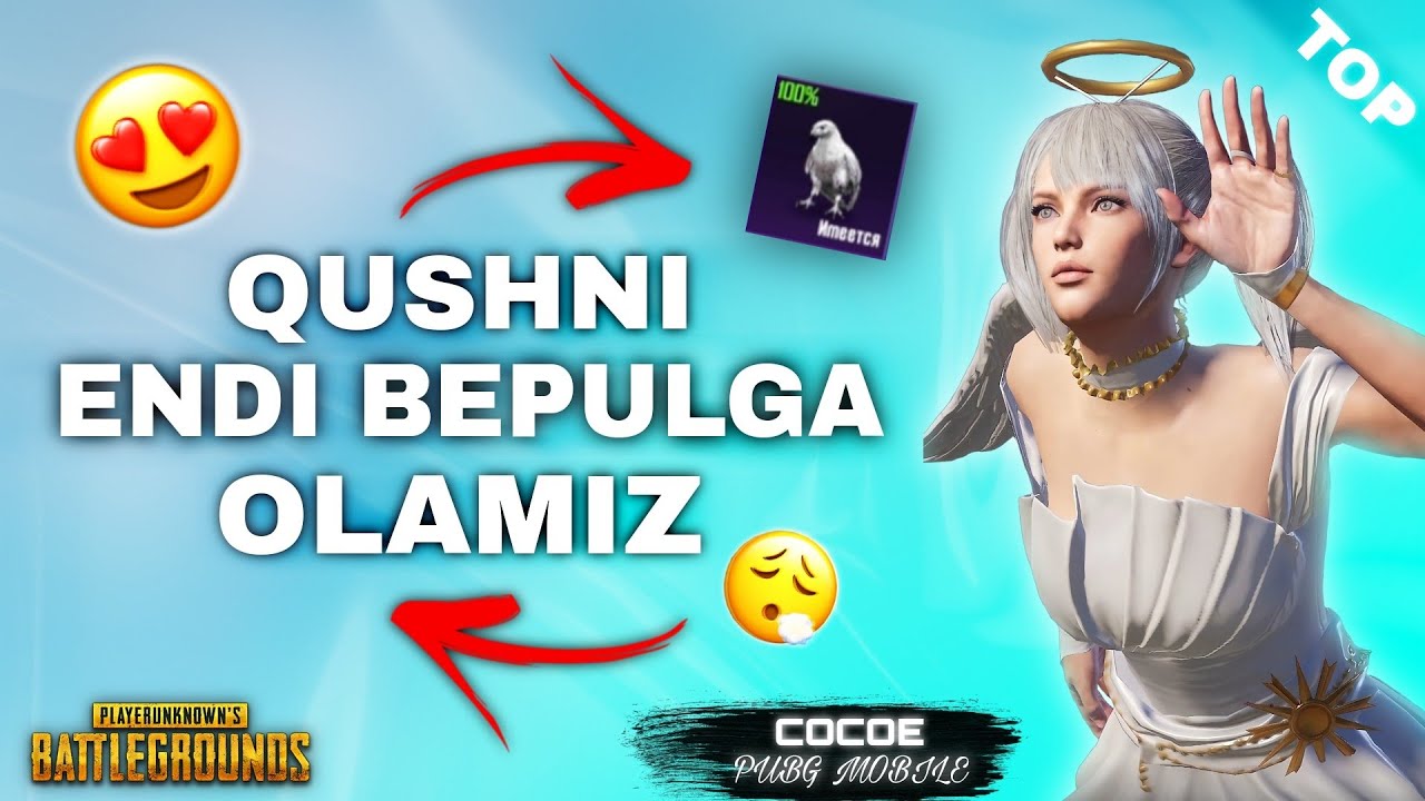 🤩 BEPULGA QUSHNI YENGI SOBITYADAN OLAMIZ ( TEZ KO'RING