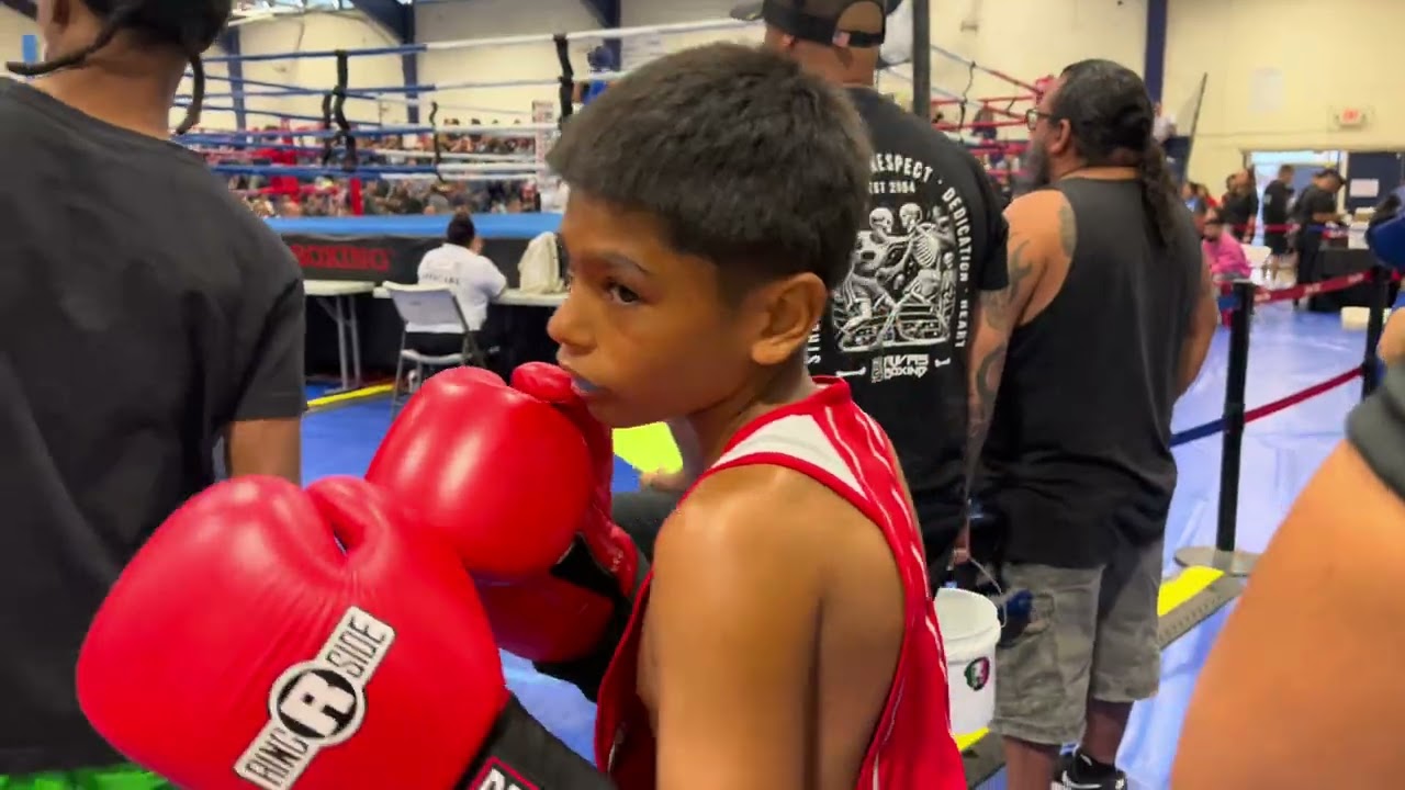 Day 3 of the international Pal Boxing Championships 