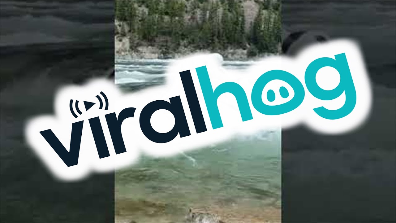 Inflatable Rafts Undergo Safety Testing at Kootenai Falls || ViralHog