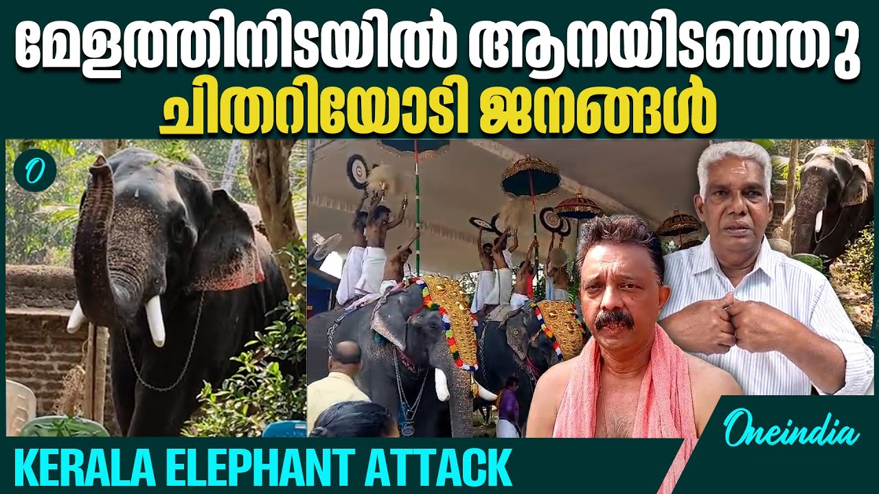 തിരുനായത്തോട് ശിവനാരായണ ക്ഷേത്രത്തിലാണ് സംഭവം | Kerala Elephant Attack