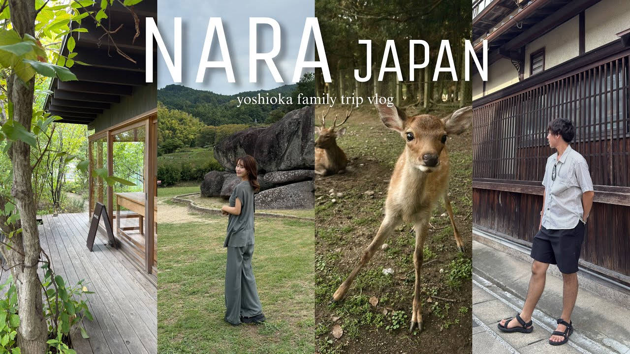 【夫婦で奈良巡り】奈良公園｜ならまち｜コフフン｜くるみの木 ⍋ ｜石舞台古墳｜天理ラーメン彩華