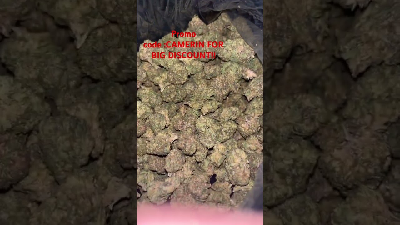THCA SMALL BUDS.com gelato cheap pound 🔥 promo code CAMERIN FOR HALF OFF