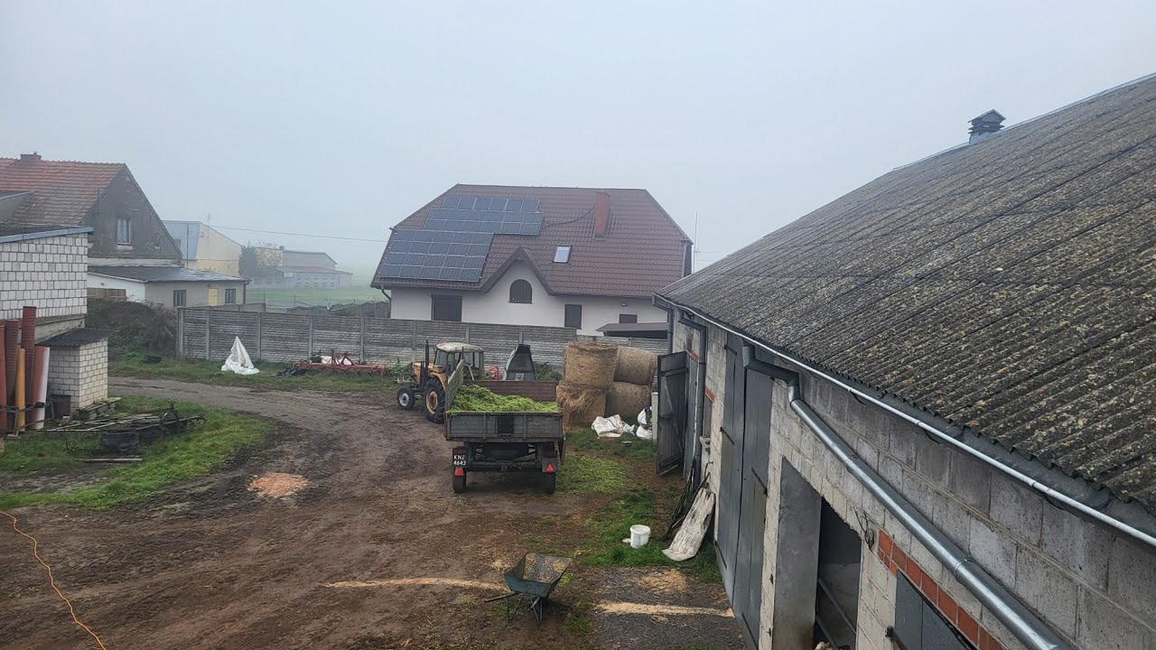 Remont obory na opasy // wyburzam drzwi i dalsze plany