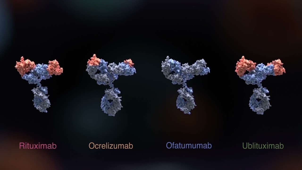 B-Cell Therapies in Relapsing MS: Clarifying the Options in an Expanding Treatment Landscape