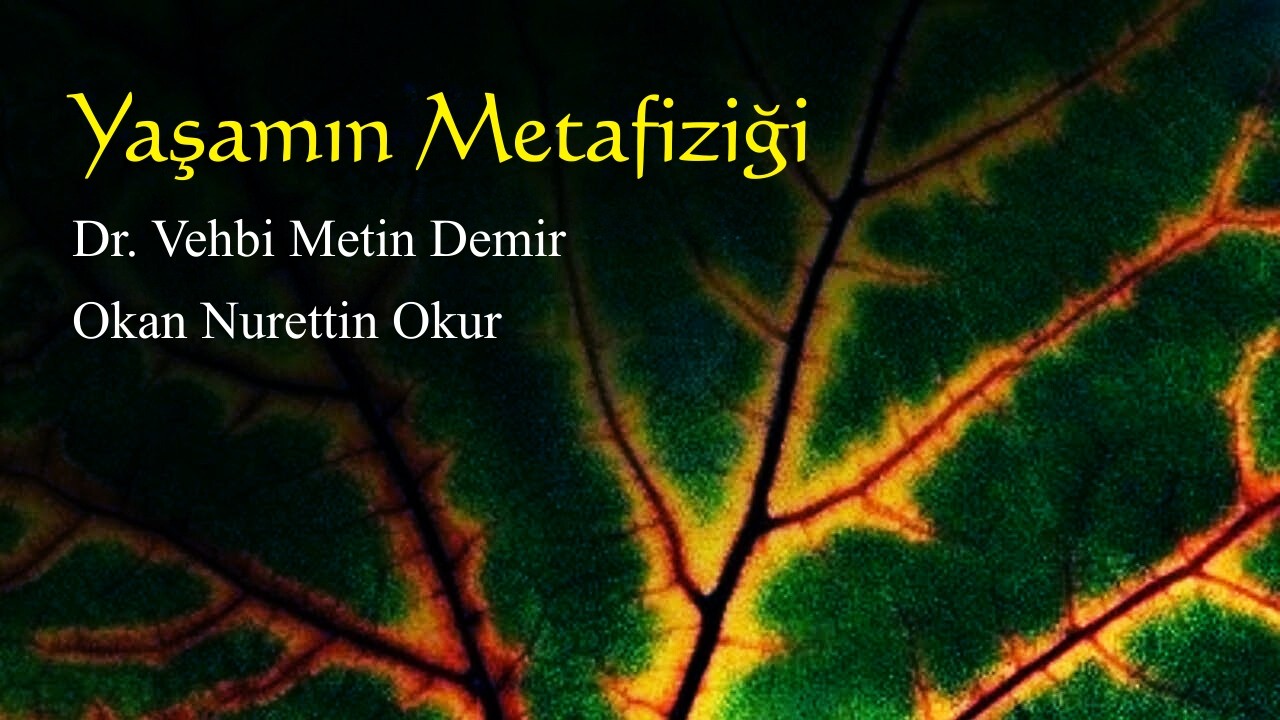 Biyolojik Bir Hegel Okuması | Dr. Vehbi Metin Demir