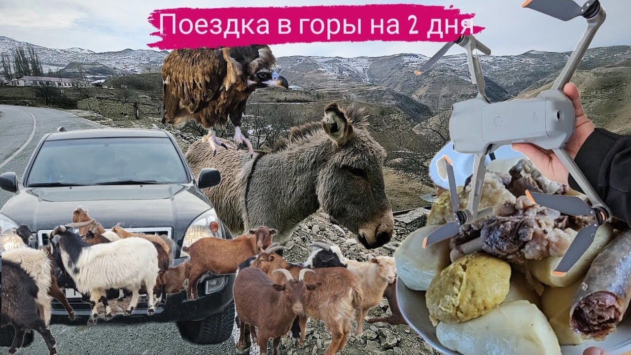 ПОЕЗДКА В ГОРЫ НА ДВА ДНЯ. ПЕРЕВАЛЫ. ПРИКЛЮЧЕНИЯ. ОБЩЕНИЕ С ЛЮДЬМИ