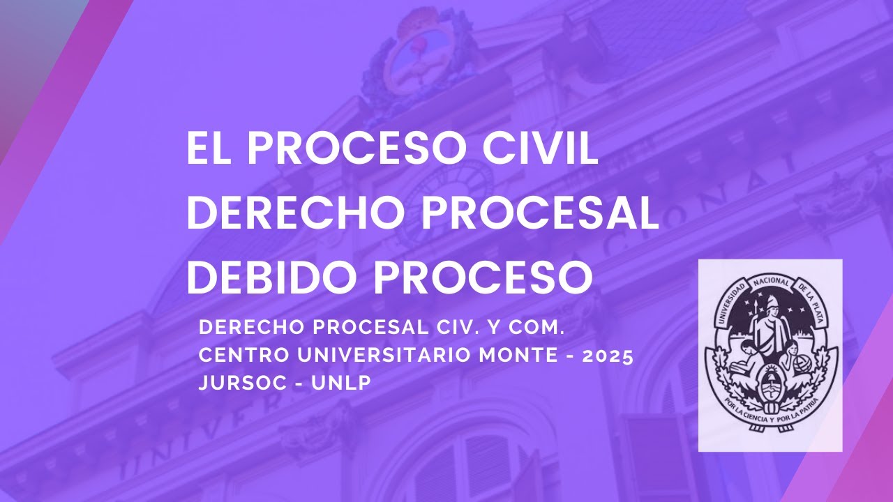 El proceso. El derecho procesal. Debido proceso en su dimensión actual