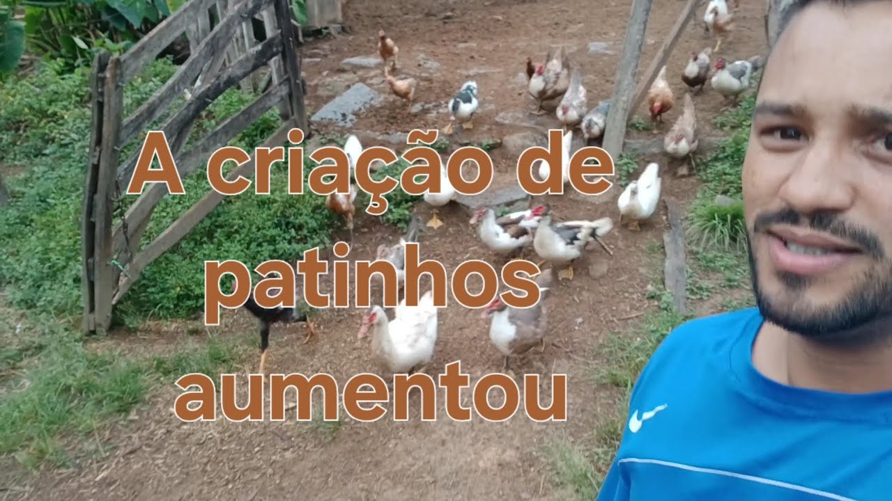 Fartura aqui na nossa roça