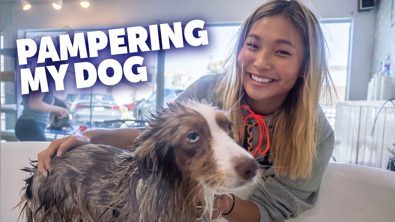Pampering My Dog Reese!! | Chloe Kim