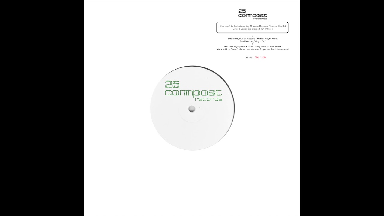 Beanfield - Human Patterns (Roman Flügel Remix)
