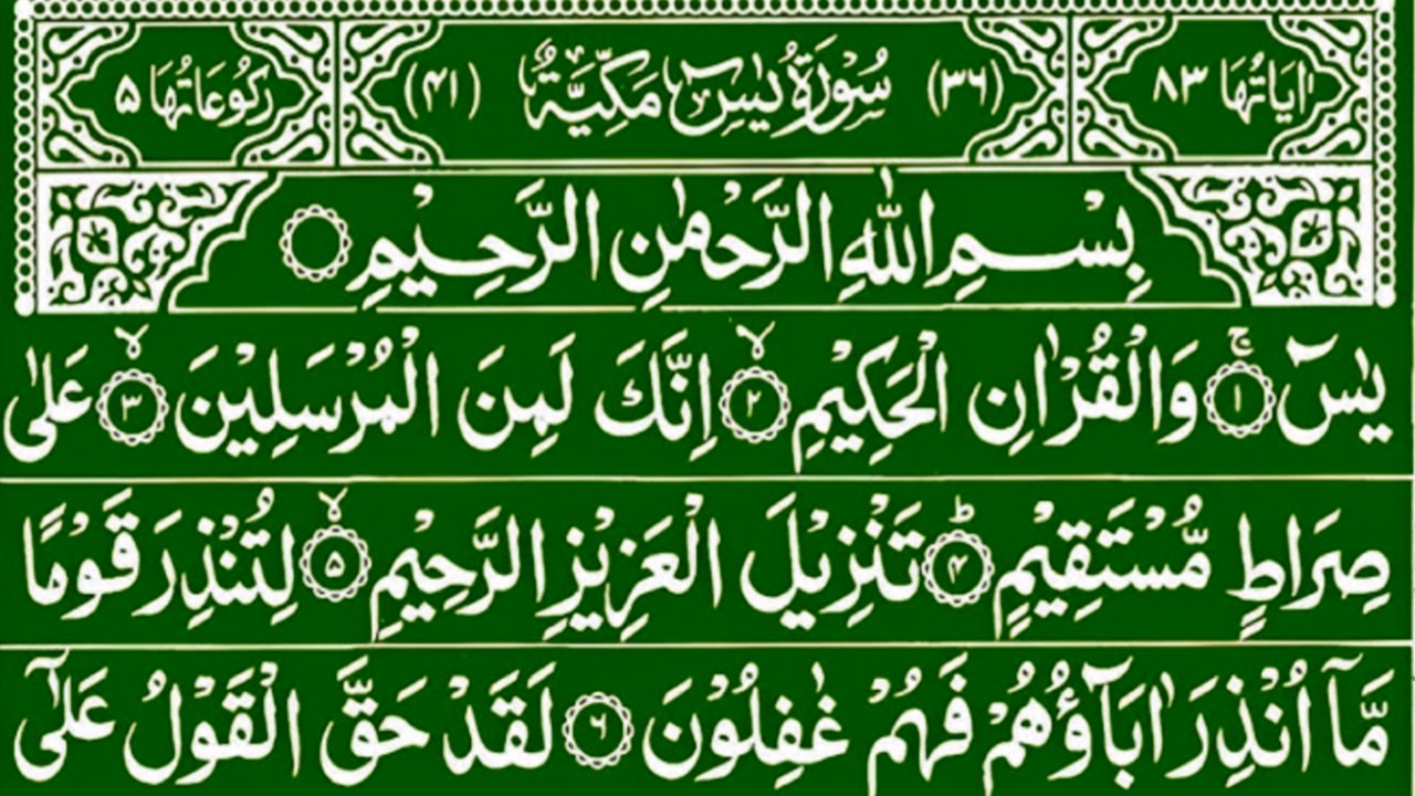 Surah Yaseen Ki Tilawat l Surah Yaseen Sharif l Best Qur'an Recitation l Surah Yasin l Ep 29