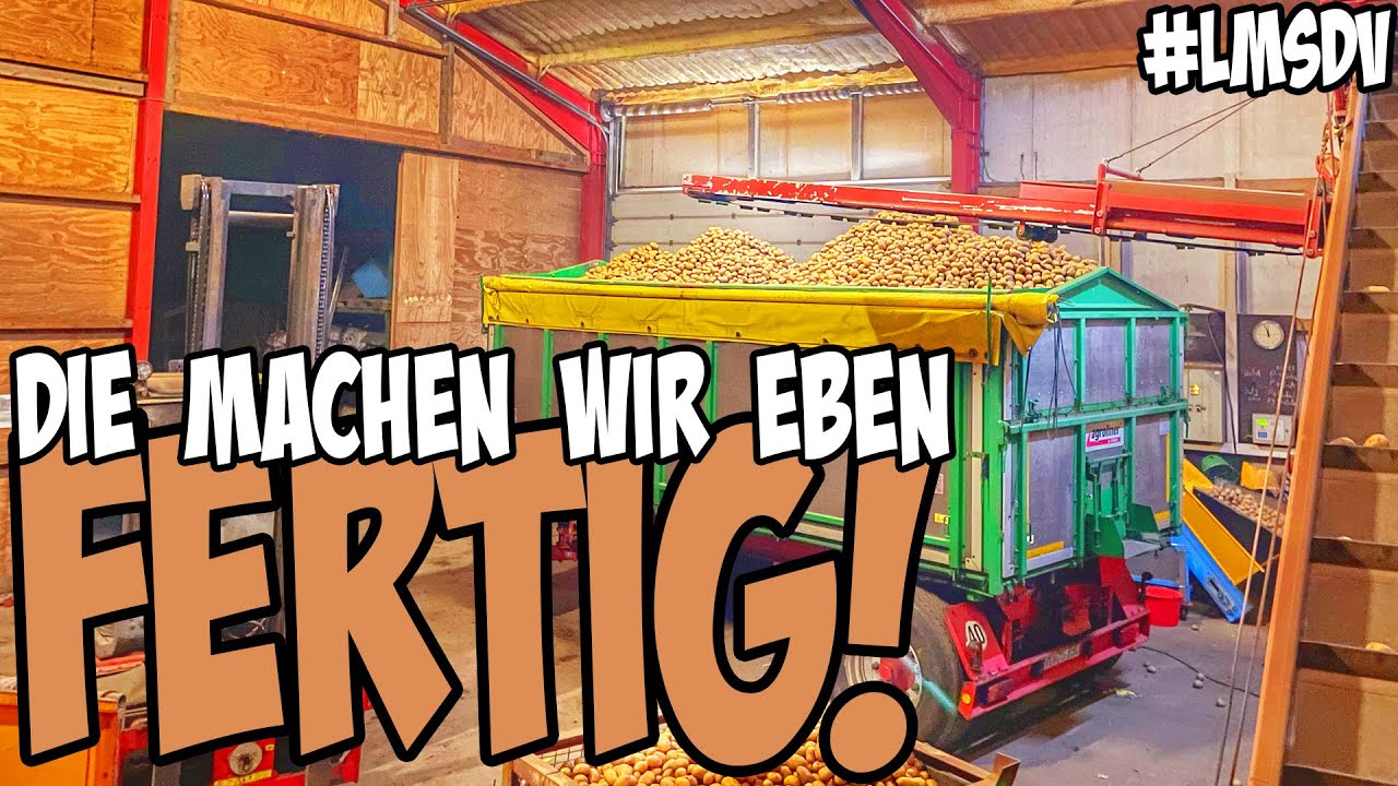 341: Belana sortieren und 🧠 Kino #LMSDV 16