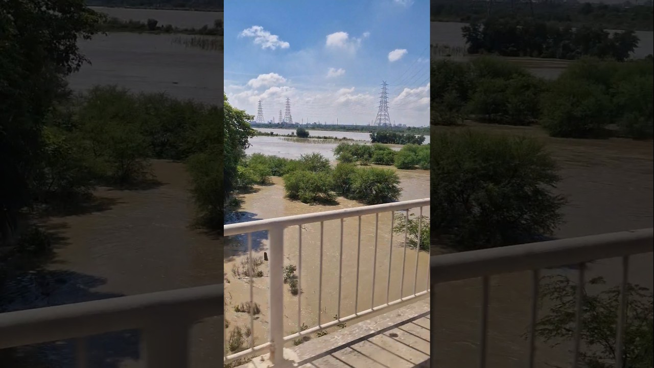 Yamuna River 🌊 #flood #delhi #2025 #nature