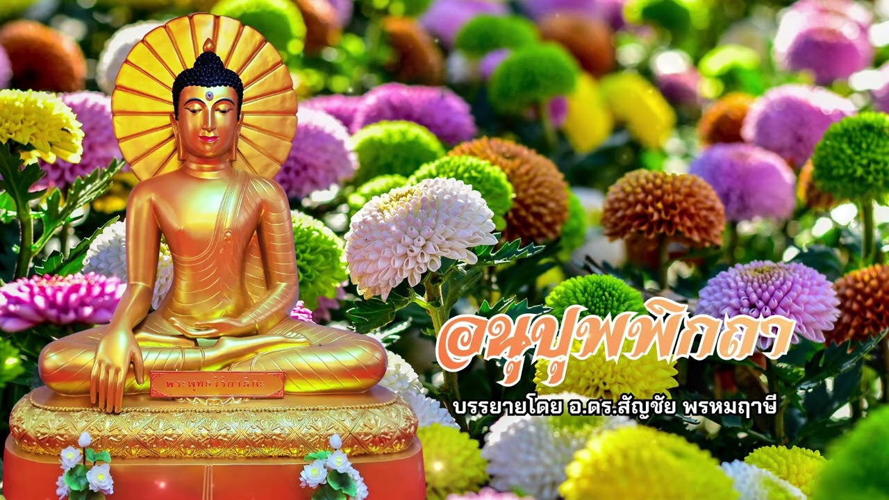 ตามทางพระพุทธเจ้า 16 กุมภาพันธ์ 2569