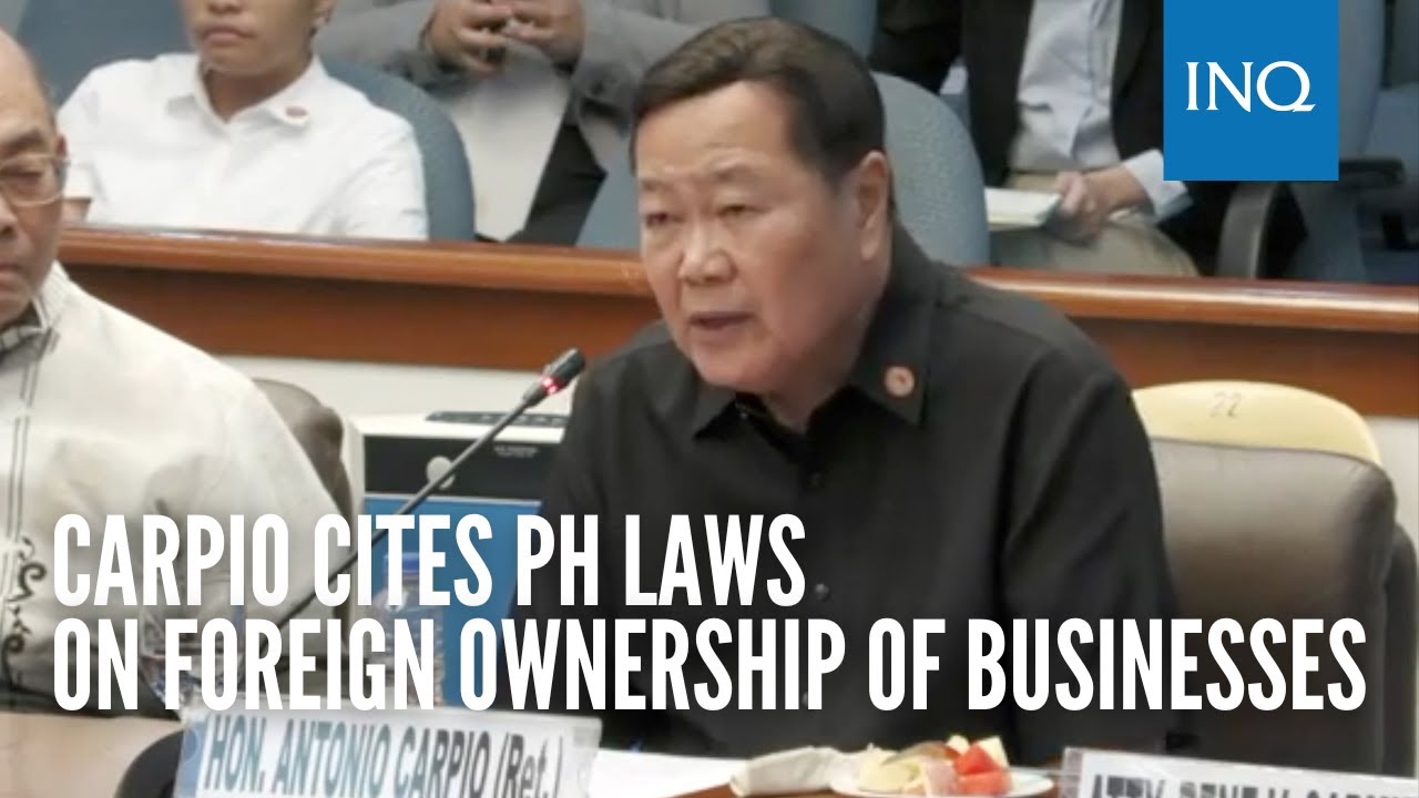 Carpio cites PH laws on foreign ownership of businesses