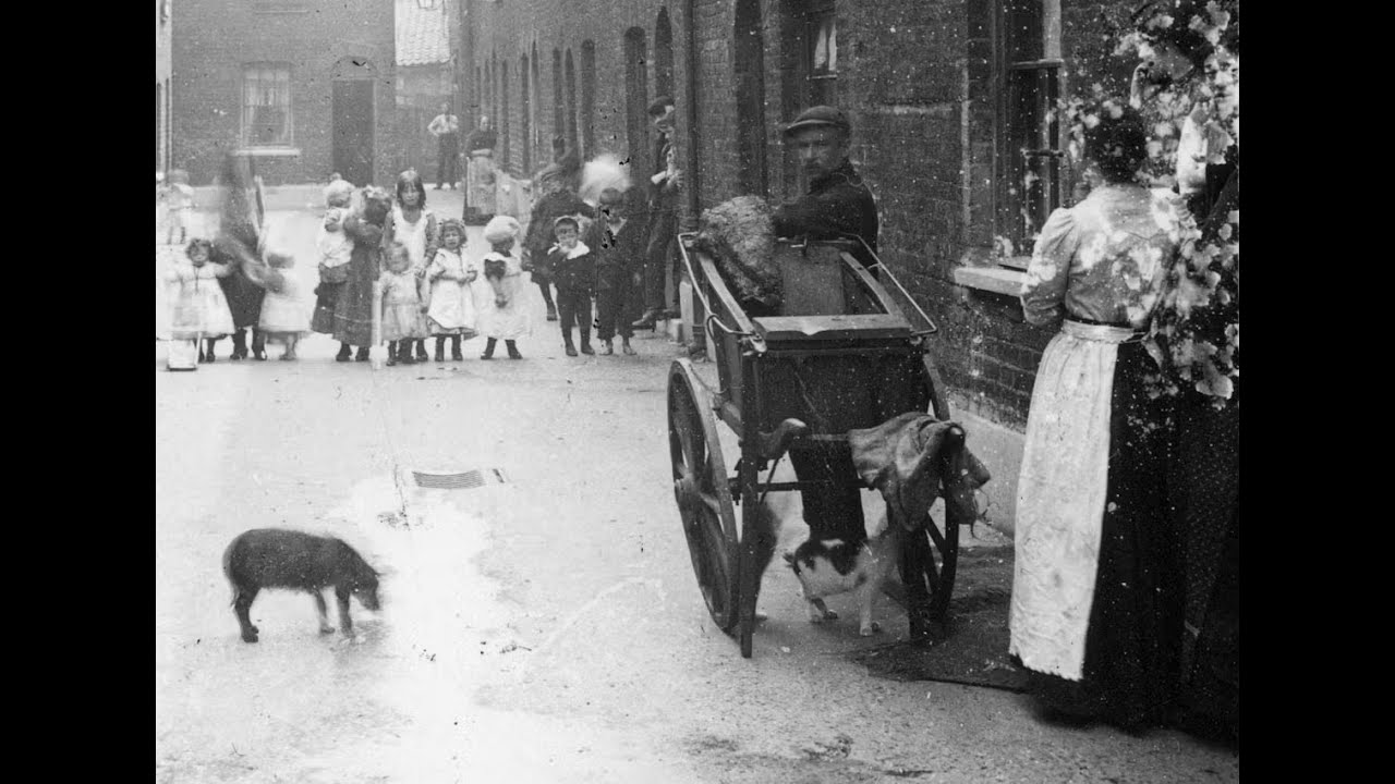 The cat's meat men of London.