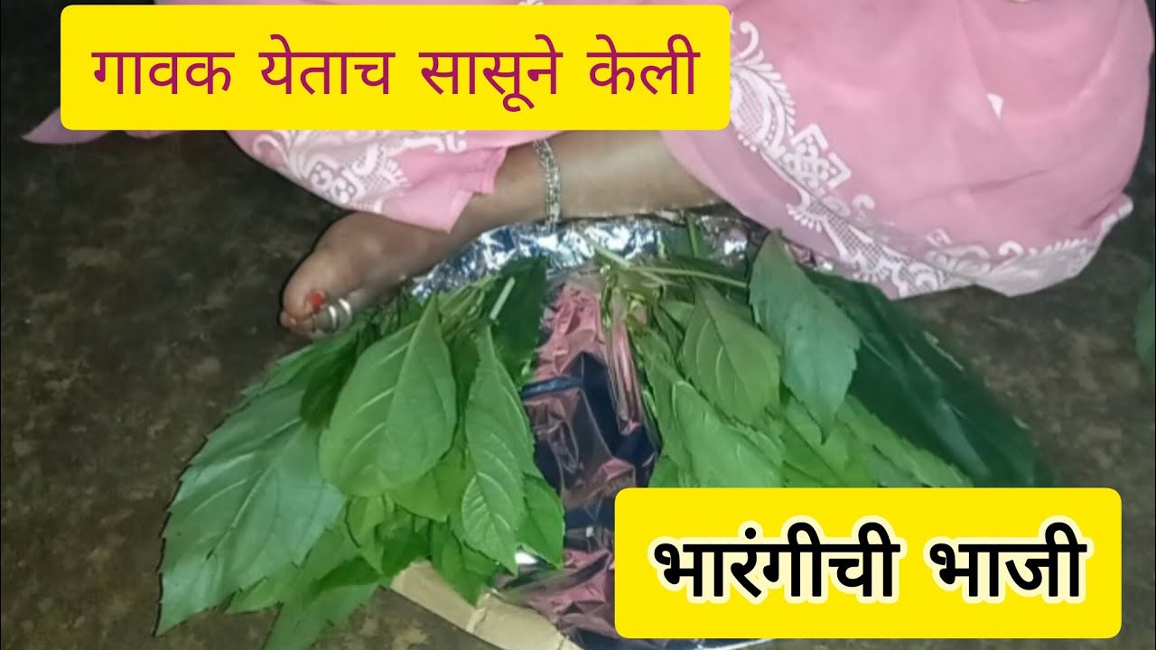 रानभाजी|भारंगीची भाजी 