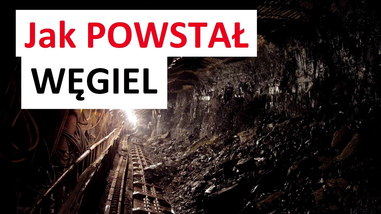 Jak POWSTAŁ WĘGIEL
