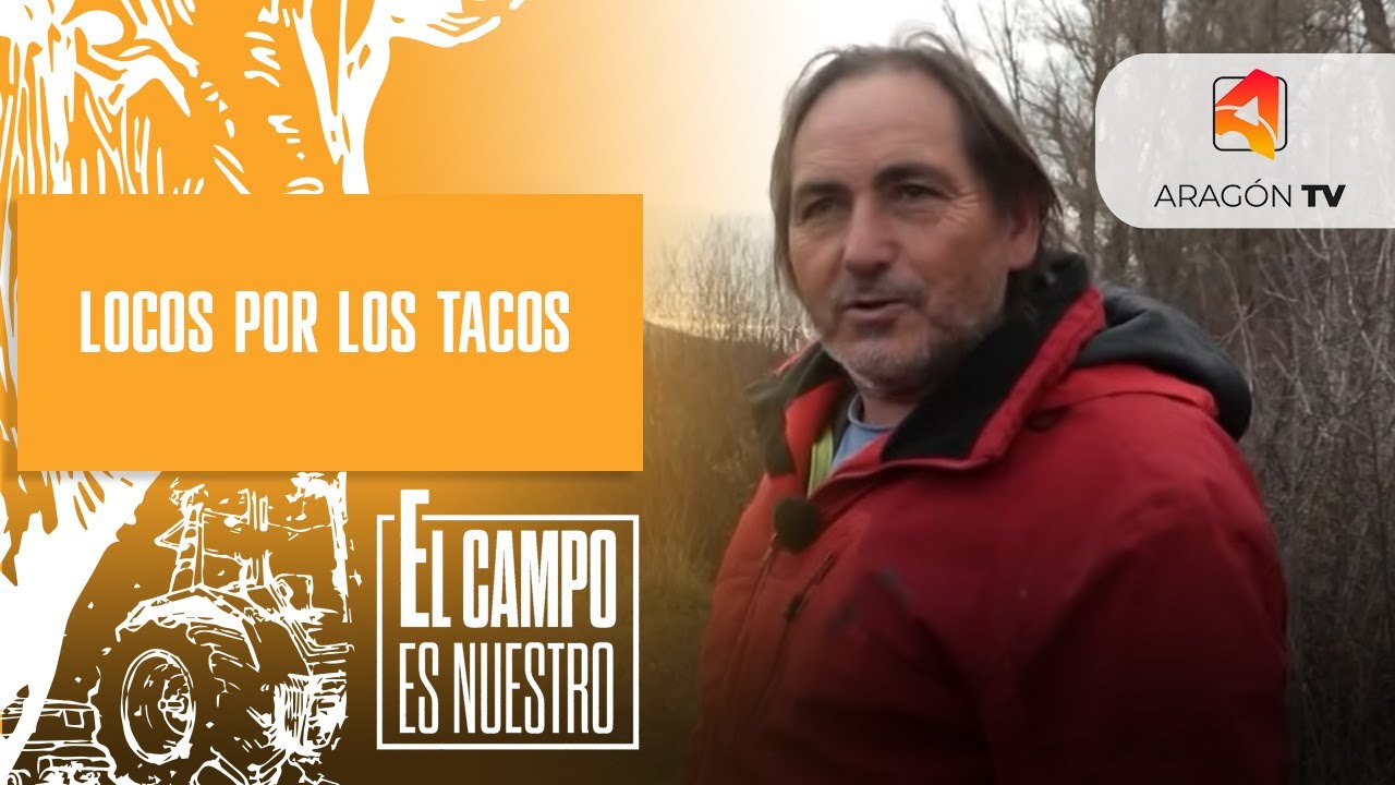 Locos por los tacos