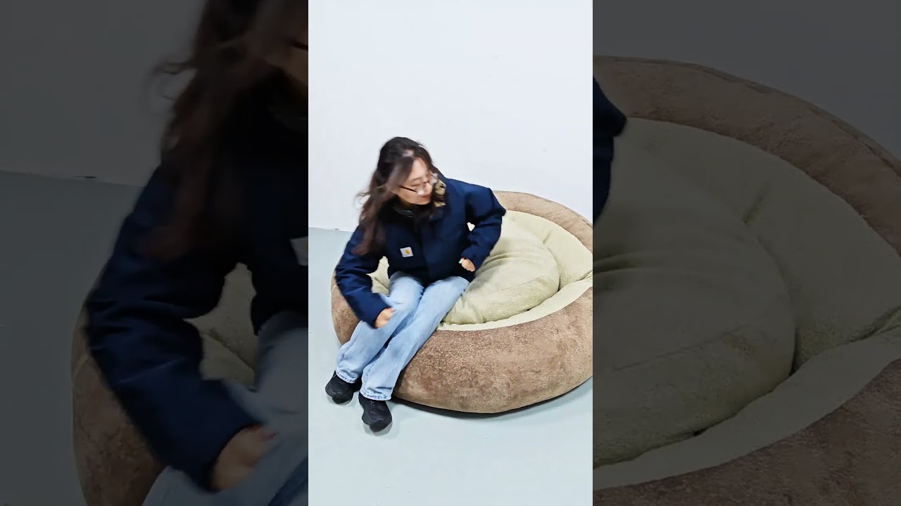 🐾 Finally, a Sofa My Dog & I Agree On! (Spoiler: He Stole the Cushions 😂) #shortvideo #sofa #shorts