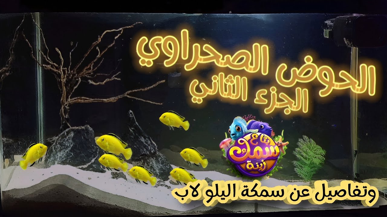 الحوض الصحراوي الجزء الثاني وتفاصيل عن سمكة اليلولاب